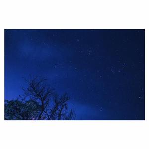 小婷性开放肉日记高Hnp百度云
